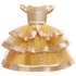 Layered Paggy Dress Dress